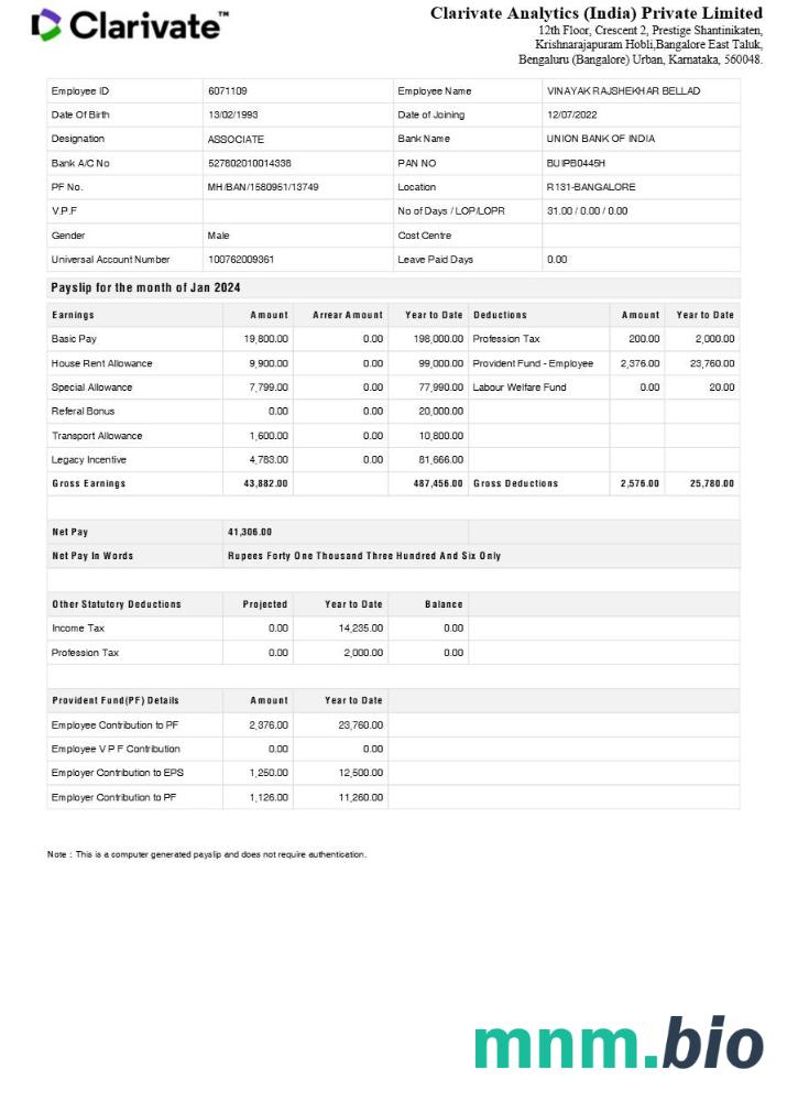 Szablon odcinka wypłaty Clarivate Analytics India w formatach Word i PDF